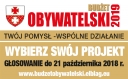 Budżet Obywatelski. Głosowanie od poniedziałku 